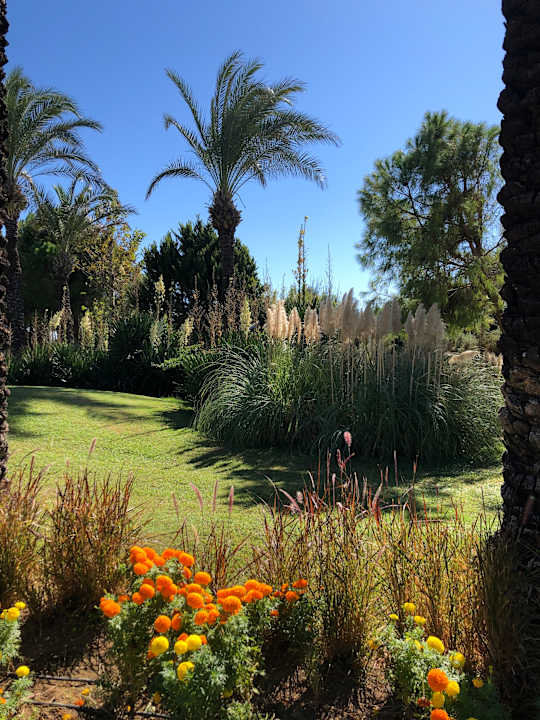 Gartenanlage AQI Pegasos World