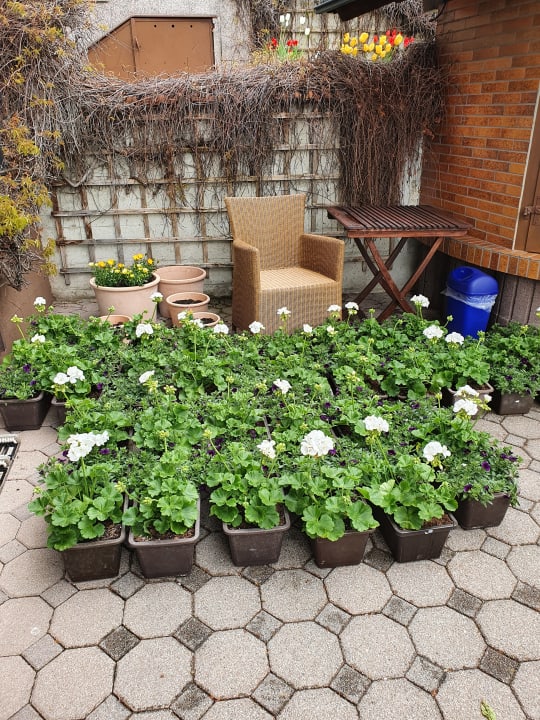 Zimmer Landhaus Meine Auszeit