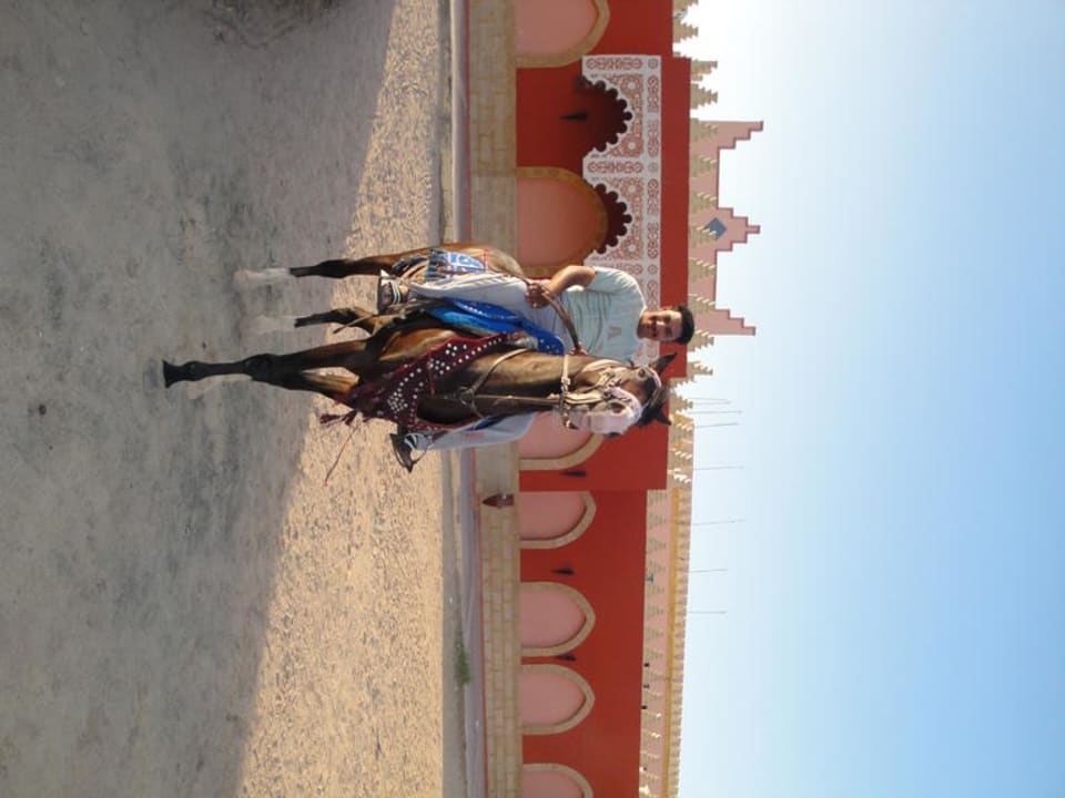 Reiter in der Arena Pickalbatros Alf Leila Wa Leila Resort - Neverland Hurghada