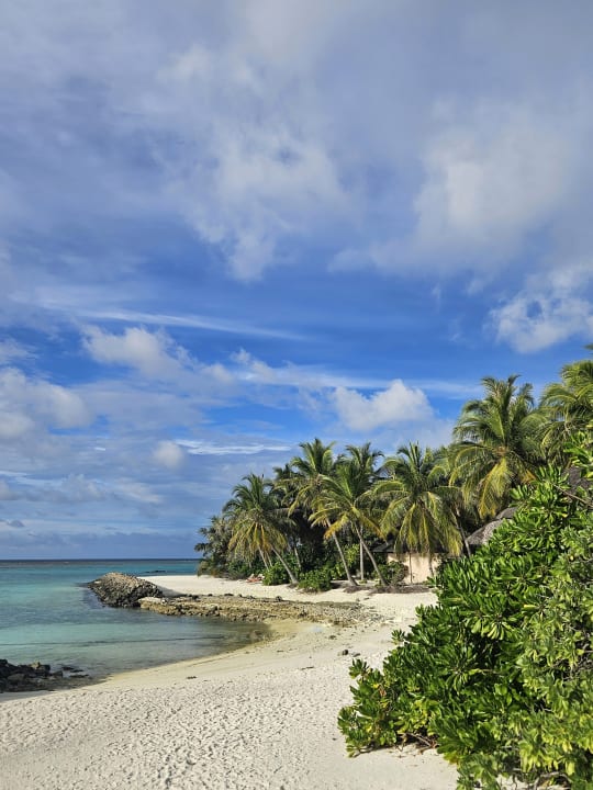Strand Summer Island Maldives