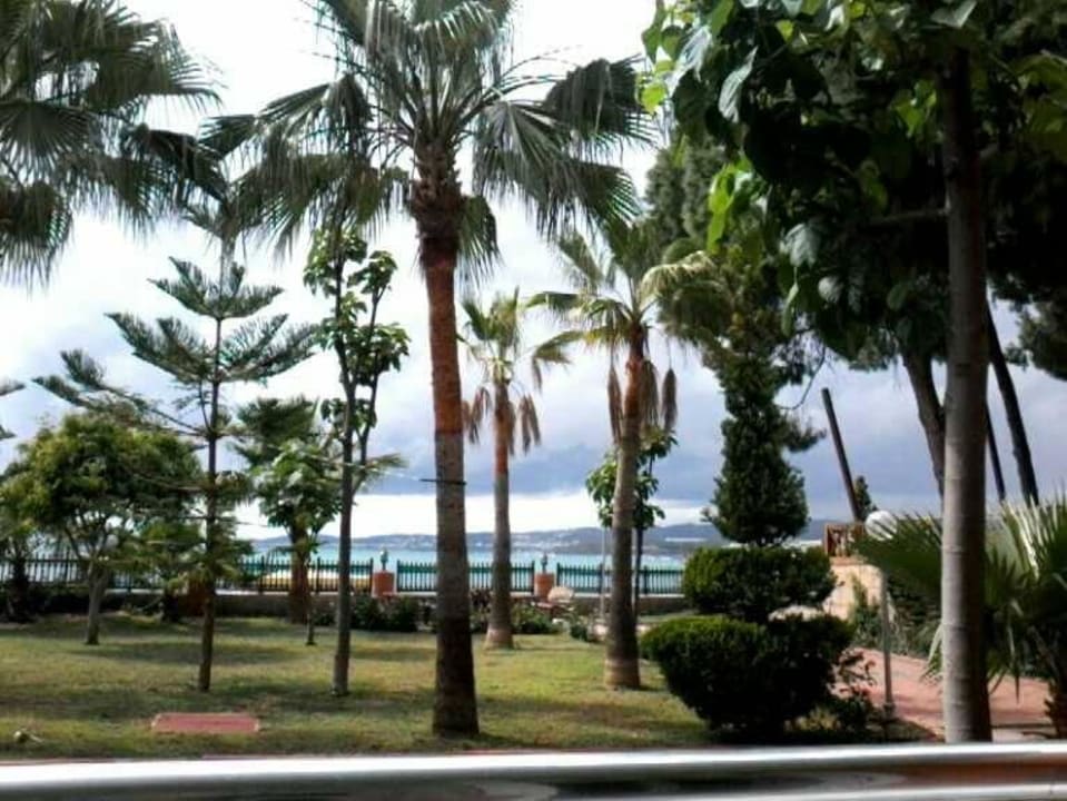 Blick auf´s Meer vom Zimmer Lonicera Resort & Spa Hotel