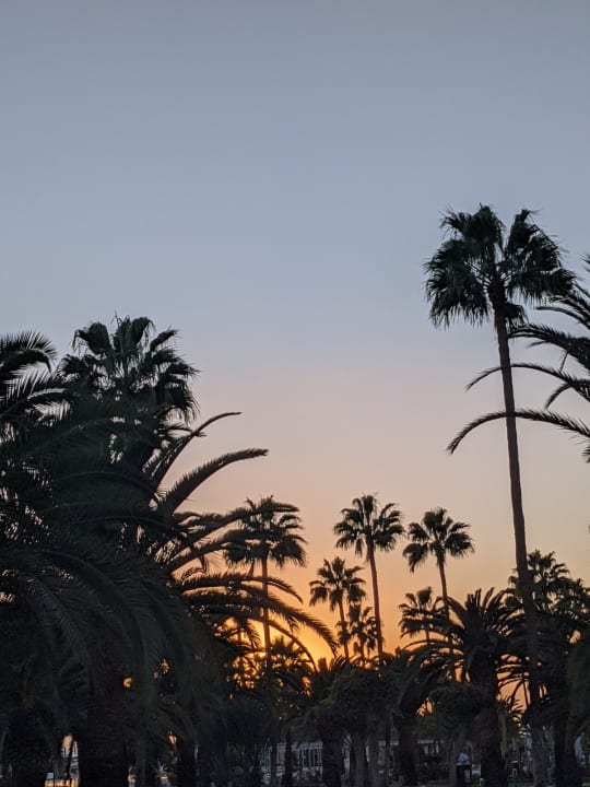 Gartenanlage Hotel Riu Gran Canaria