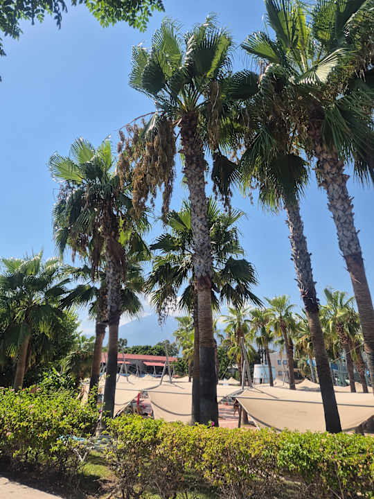 Ausblick Limak Limra Hotel & Resort