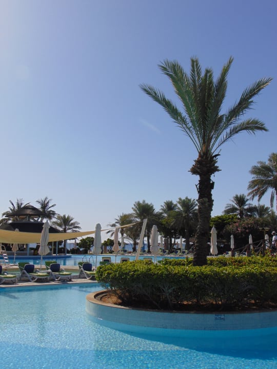 Pool Fujairah Rotana Resort & Spa