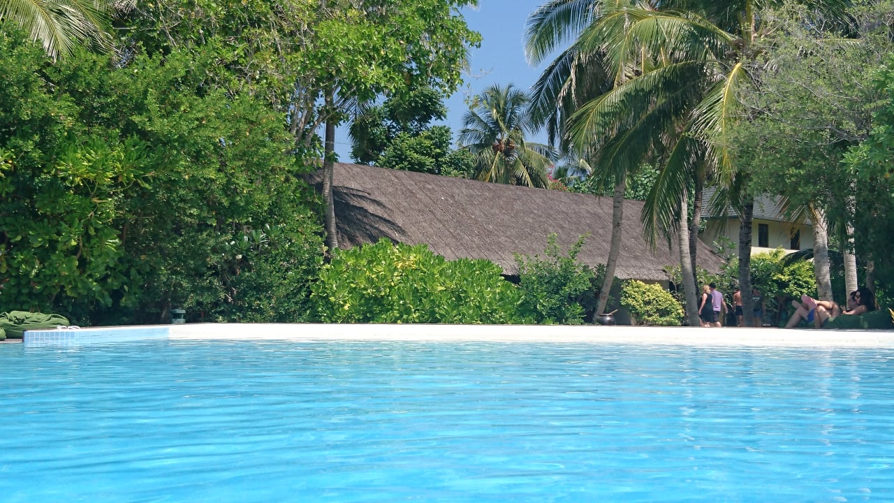 Pool Summer Island Maldives