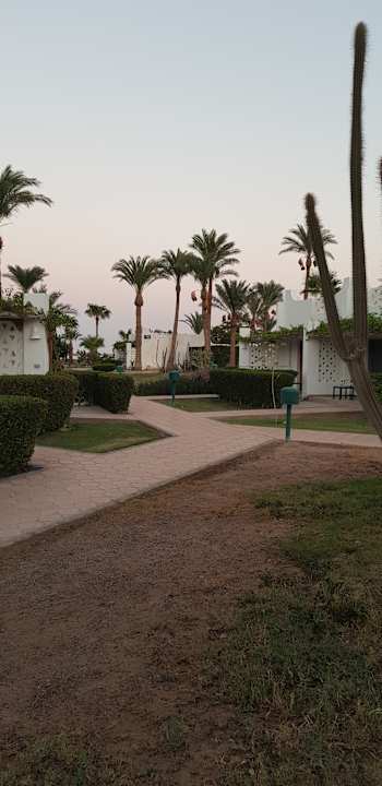 Gartenanlage Shams Safaga Resort