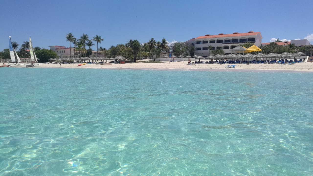 Strand Starfish Cuatro Palmas