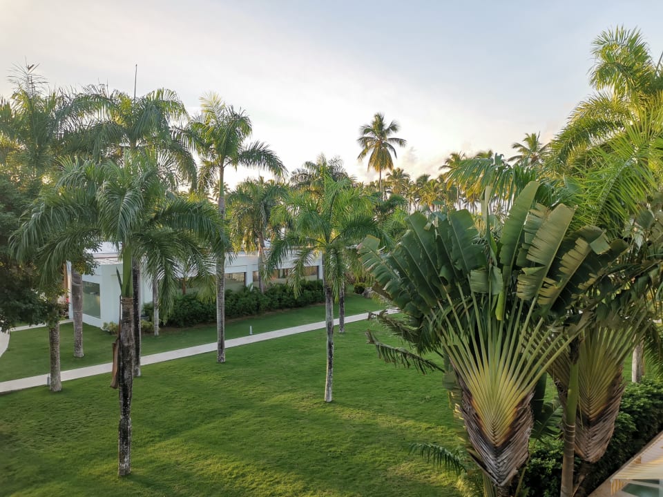 Gartenanlage Viva Wyndham Samaná