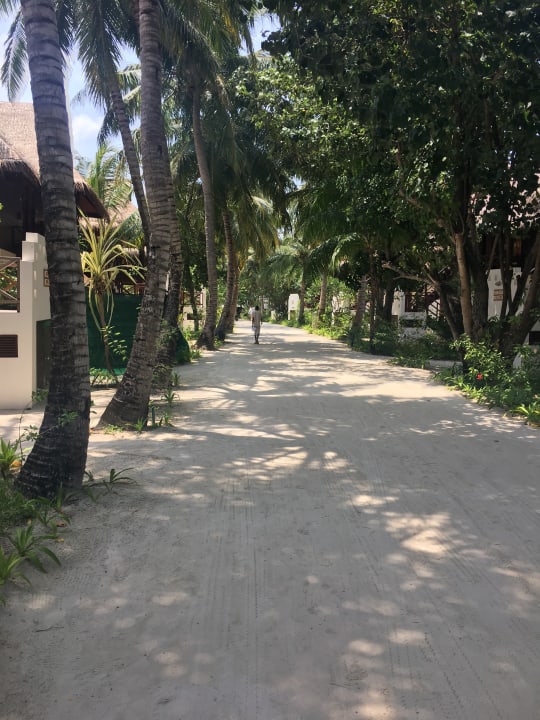 Gartenanlage Sun Siyam Olhuveli