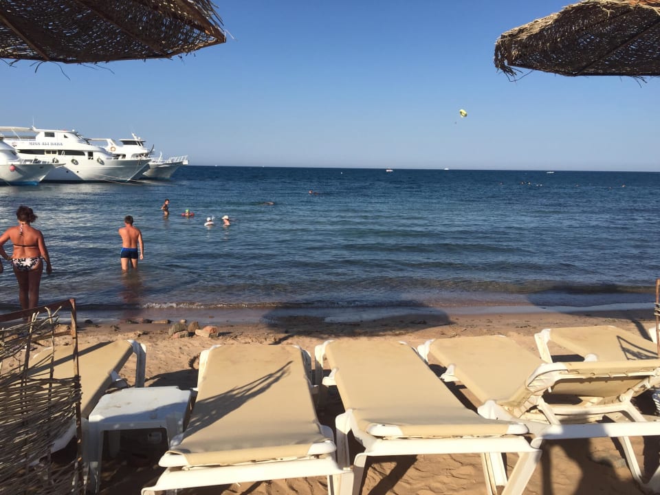 Strandliegen sind gemütlich Aladdin Beach Resort