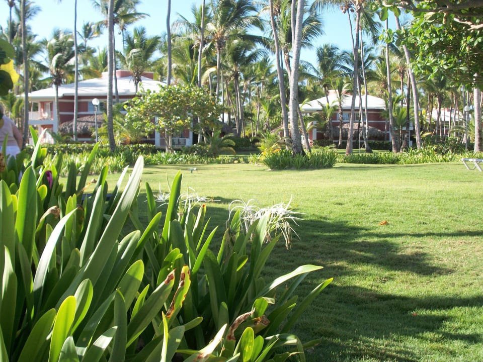Grosse Freiflächen Grand Palladium Select Bávaro Resort & Spa