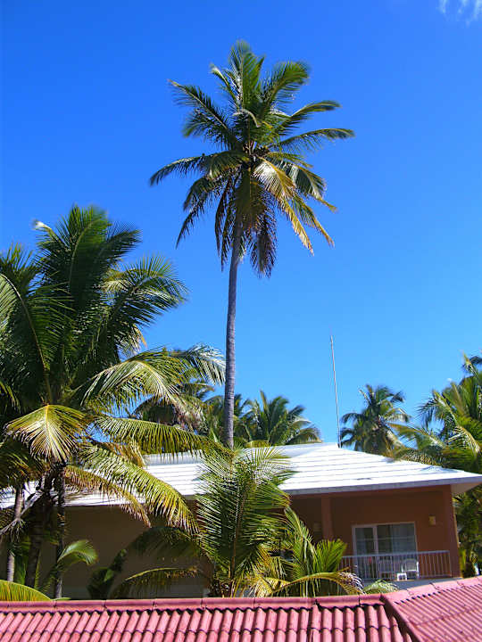 Villas Hotel Grand Palladium Palace Resort, Spa & Casino