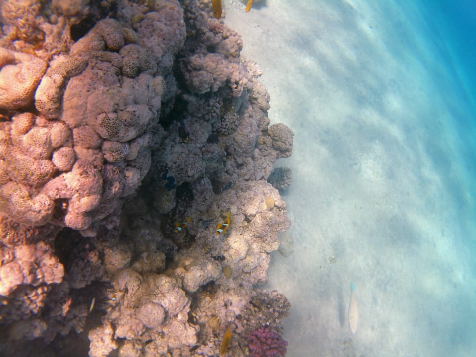 Strand Stella Beach Resort & Spa Makadi Bay