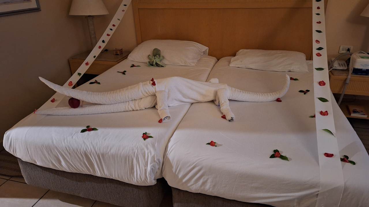 Zimmer Hotel JAZ Makadi Star & Spa