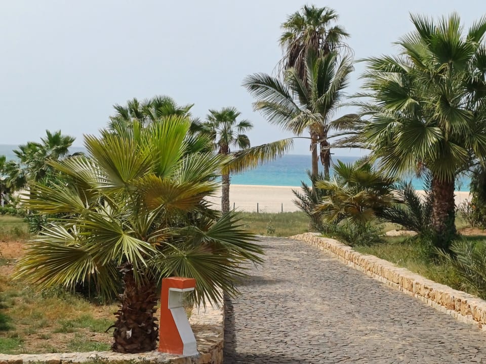 Ausblick Occidental Boa Vista Beach