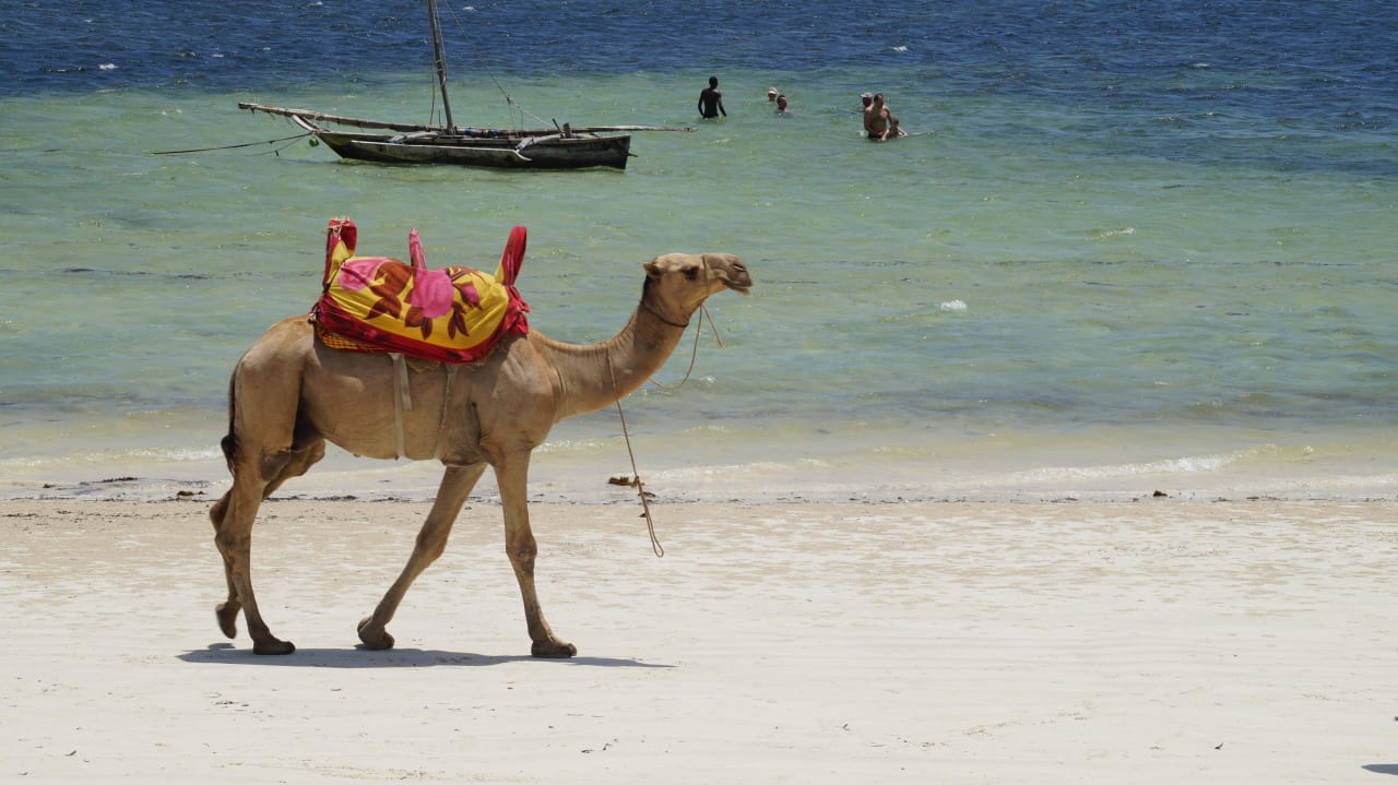 Plaża Neptune Beach Resort