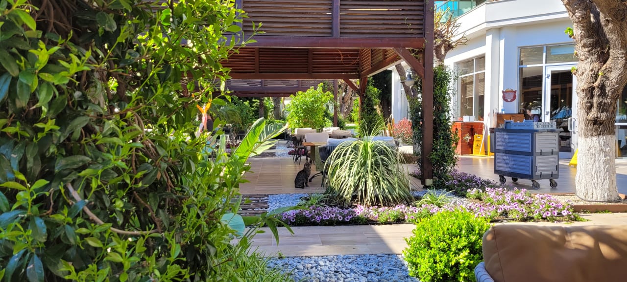 Gartenanlage TUI MAGIC LIFE Beldibi +16