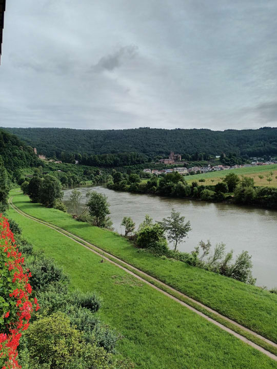 Ausblick Hotel Vierburgeneck Neckarsteinach