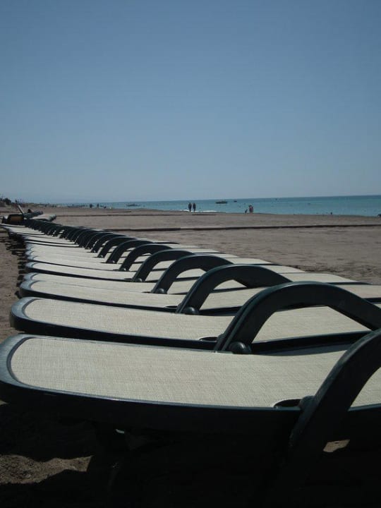 Leere Liegen, eher selten! Sherwood Dreams Resort