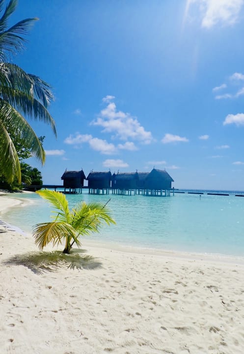 Strand Constance Moofushi Maldives