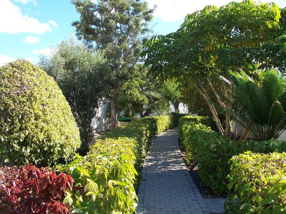 Zwischen den Bungalows Bungalows Cordial Sandy Golf