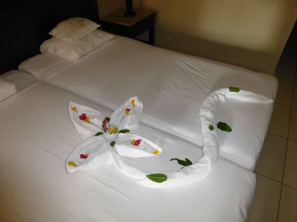 Schöne Dekorationen durch die Roomboys Jaz Dar EL Madina