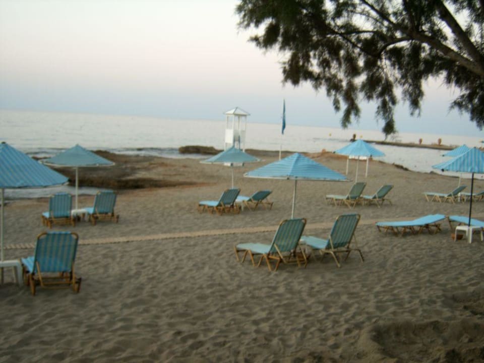 Der hoteleigene Strand Phãea Cretan Malia