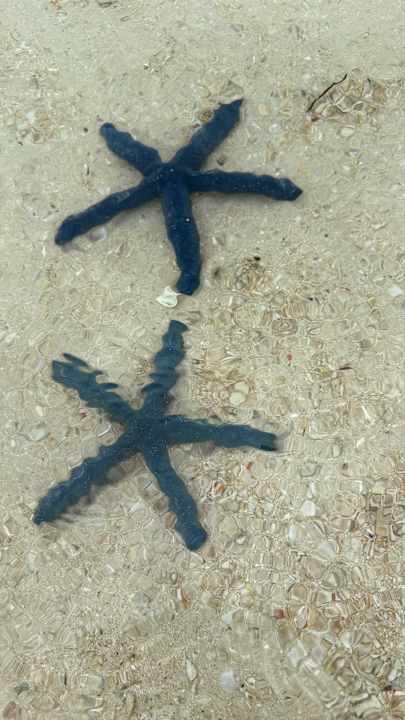 Strand Kokomo Resort Gili Gede