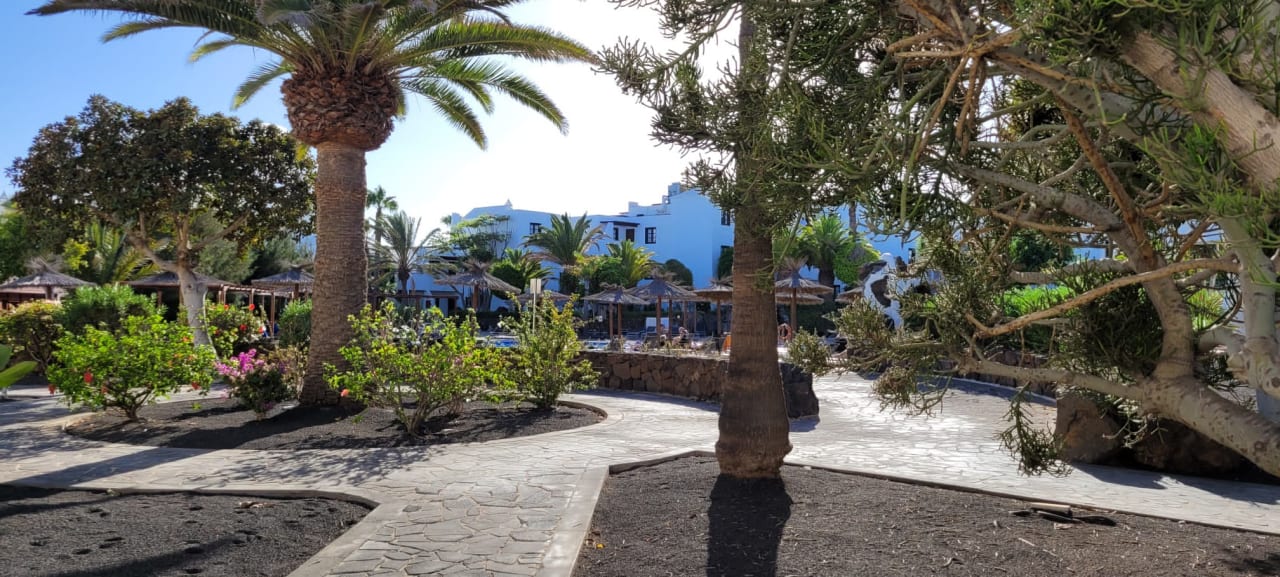 Gartenanlage allsun App.-Hotel Albatros