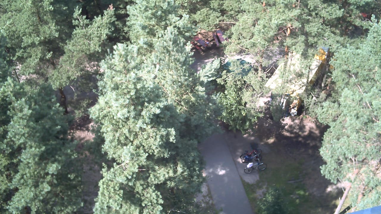 Blick vom Aussichtsturm am See Familienpark Senftenberger See