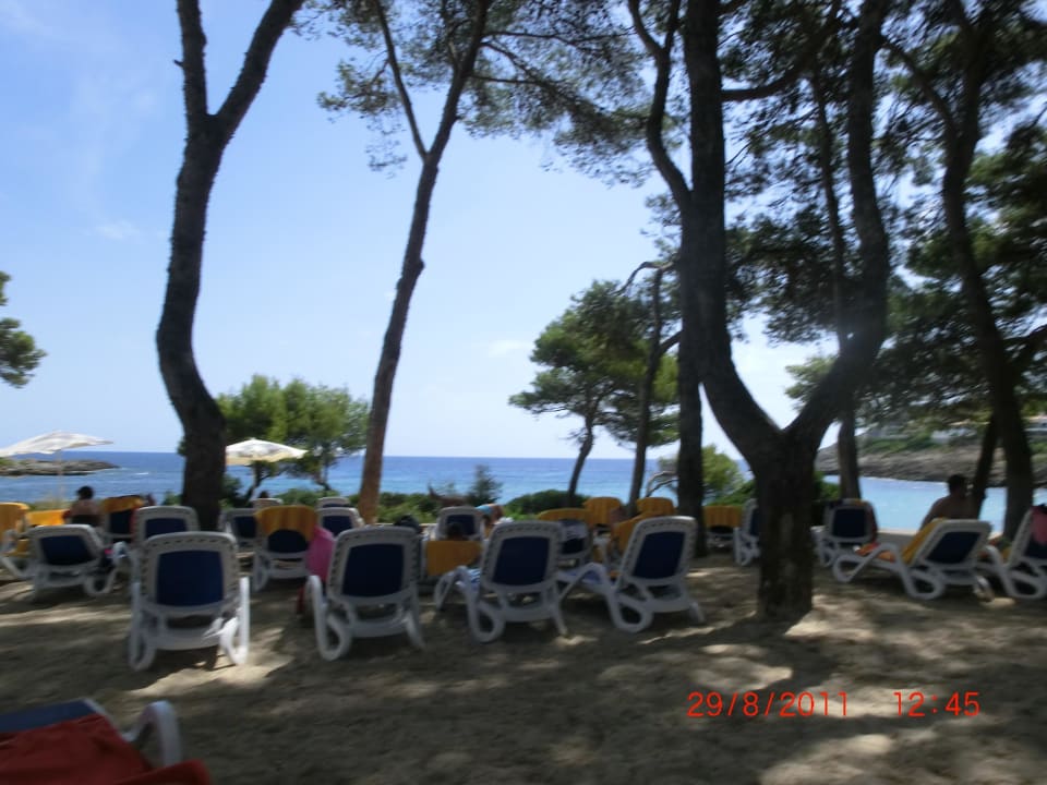 Richtung Pier Iberostar Waves Pinos Park