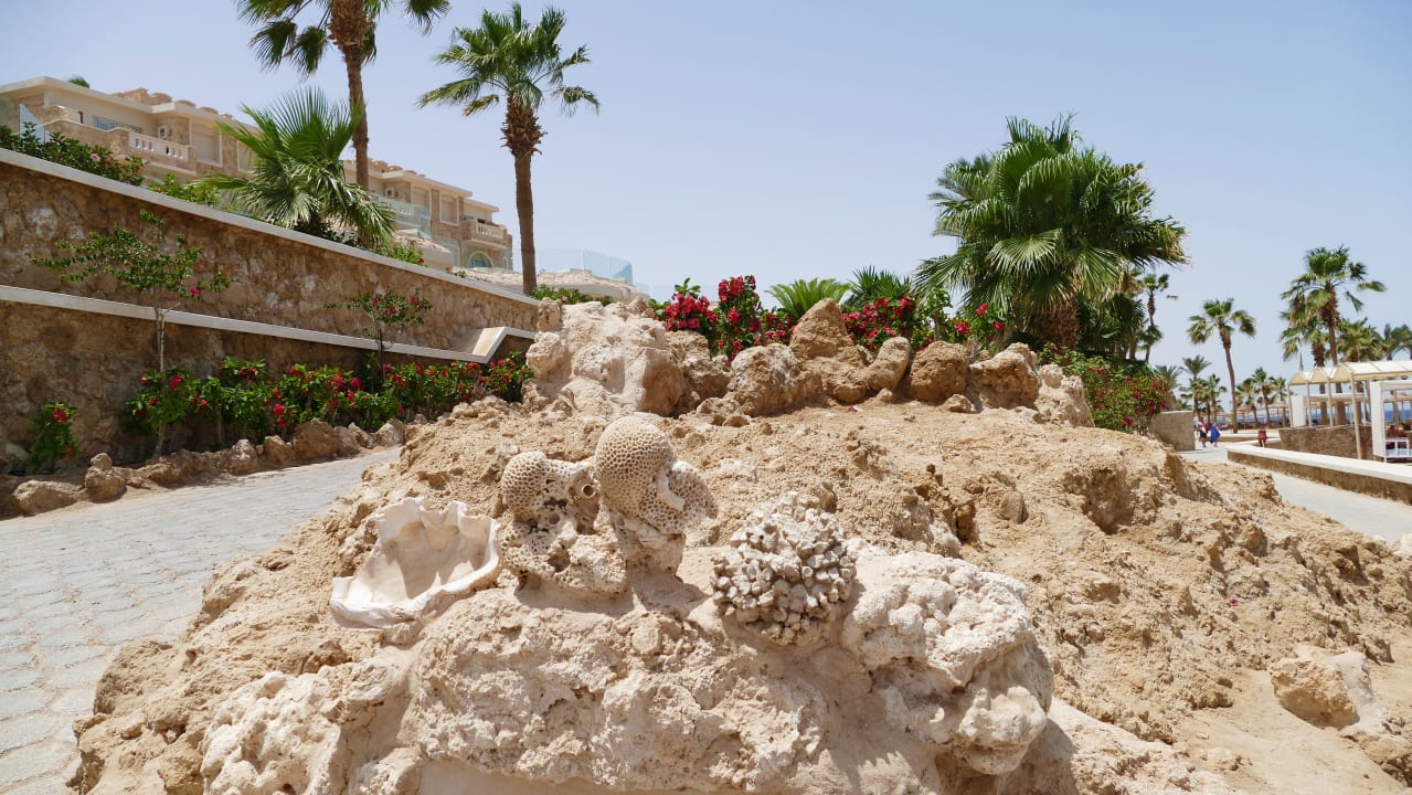 Sonstiges Pickalbatros Citadel Resort