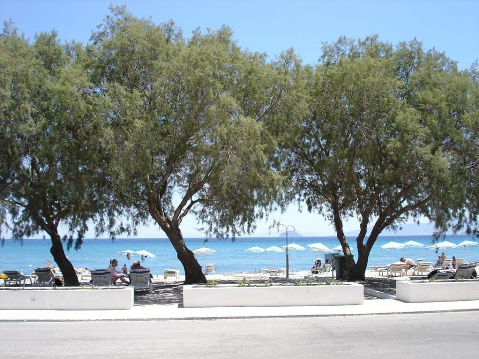Strand von der Strasse aus Lagas Aegean Village