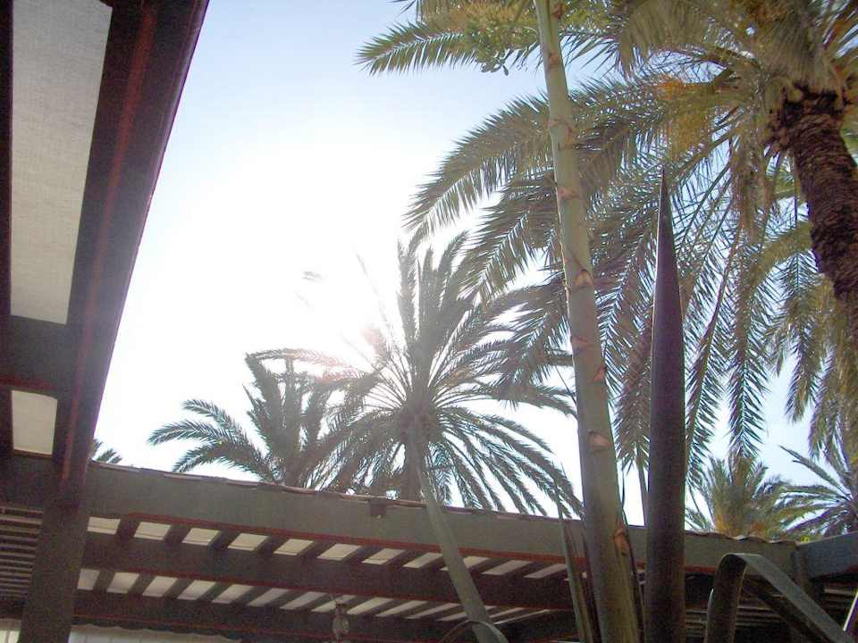 Ausblick nach oben von der Frühstücksterrasse El Ksar Resort & Thalasso