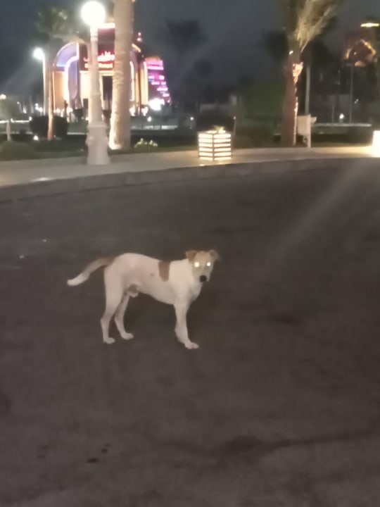 Außenansicht Titanic Resort & Aqua Park