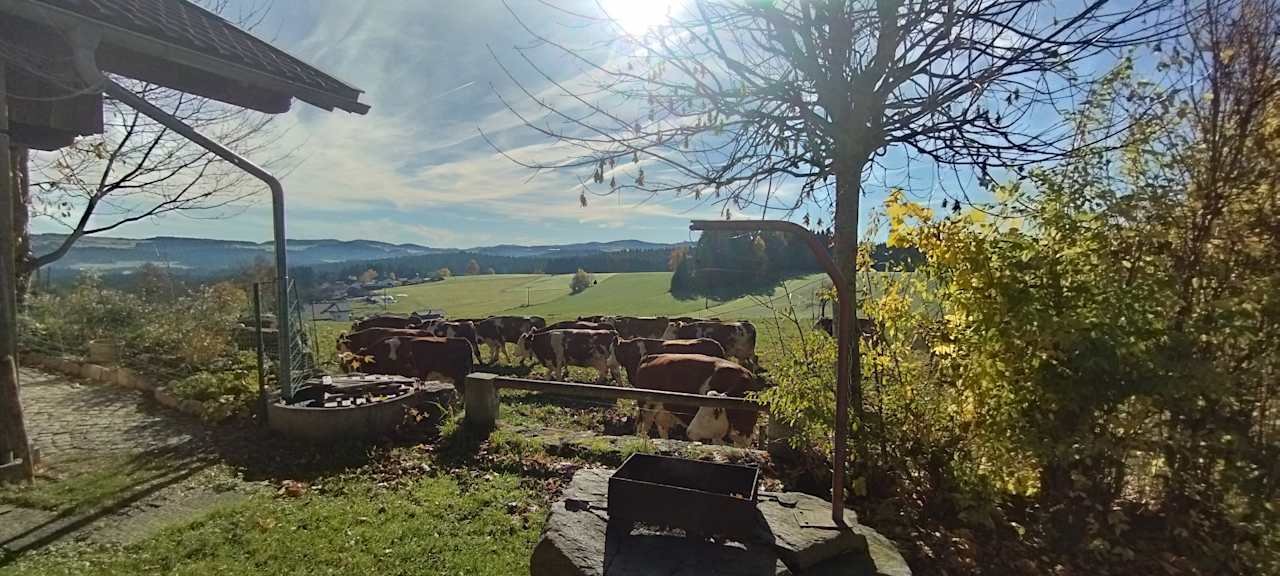 Sonstiges Ferienhof Dannerbauer