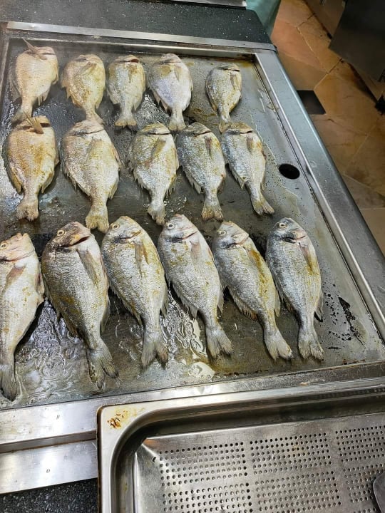 Gastro Iberostar Waves Averroes