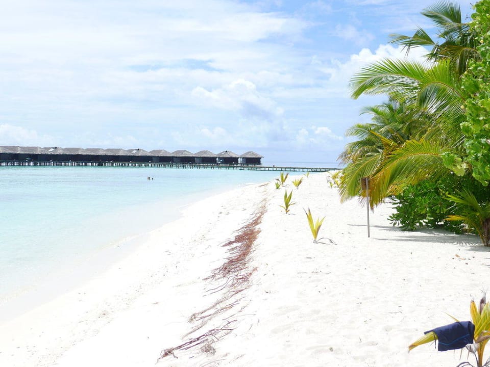 Deluxe Seite Filitheyo Island Resort
