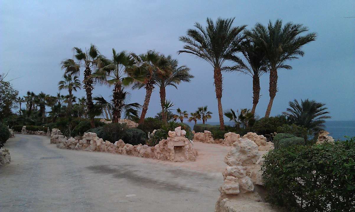 Аллея между корпусами и пляжем Pickalbatros Citadel Resort