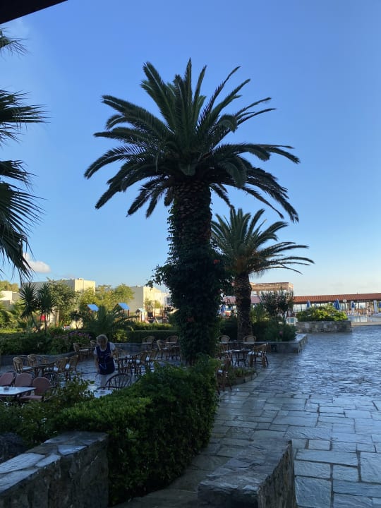 Gartenanlage Dessole Dolphin Bay Resort