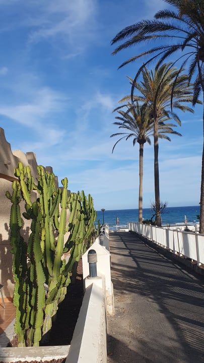 Gartenanlage SBH Monica Beach Resort