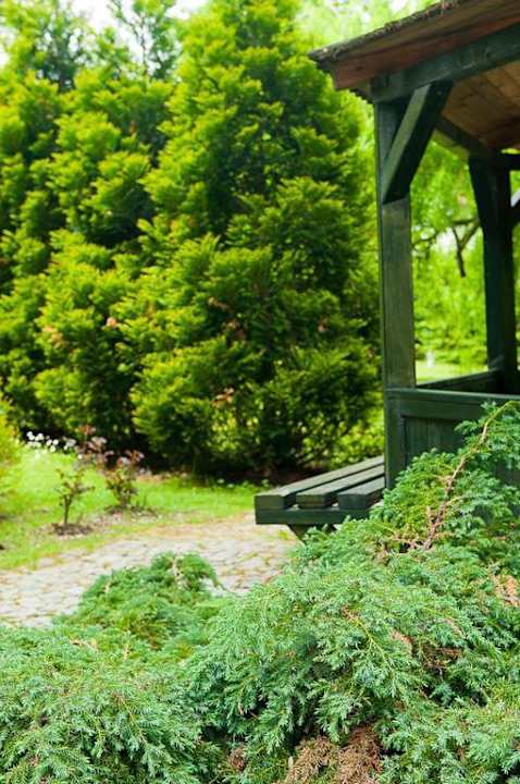 Garten vom Haus Eichendorff-Dębowy Dwór Dębowy Dwór