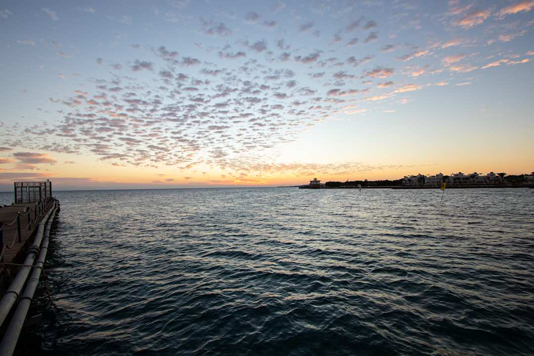 Ausblick Desert Rose