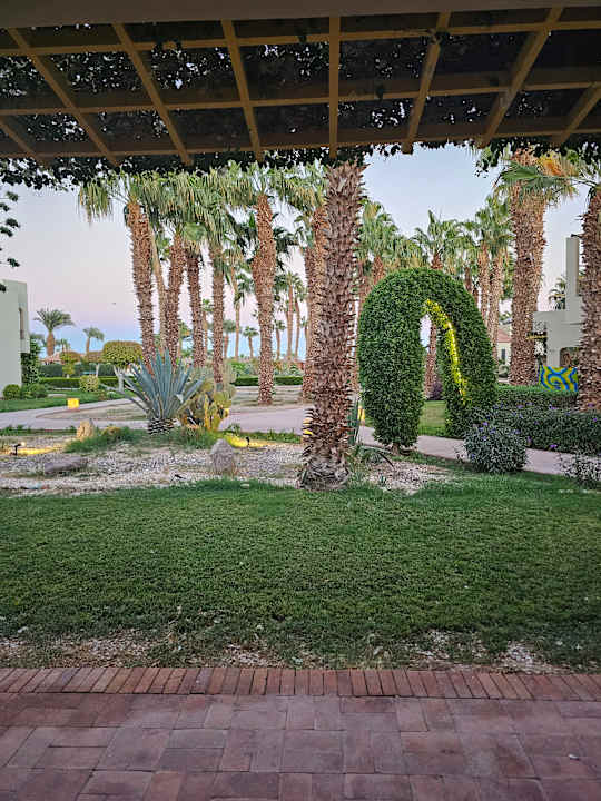 Ausblick Lotus Bay Beach Resort