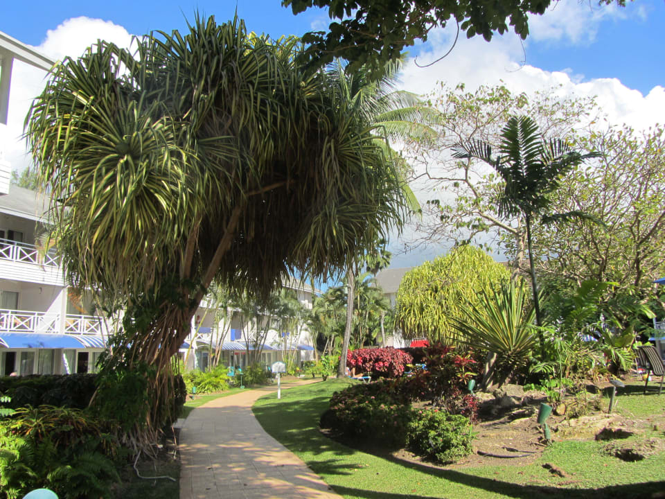 Gartenanlage The Club Barbados Resort & Spa