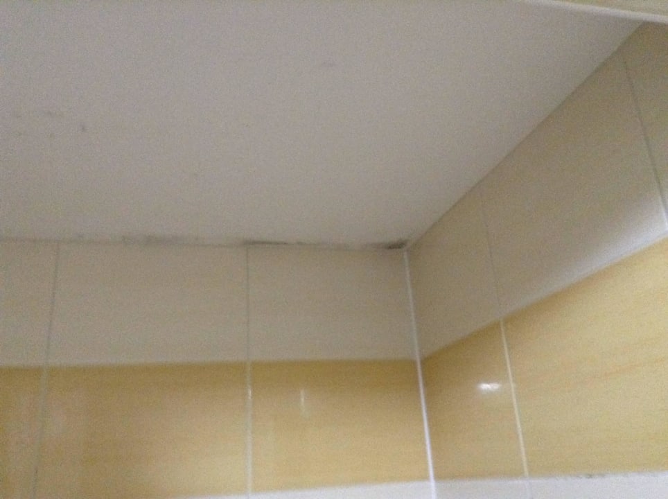 Bad Hotel Koral