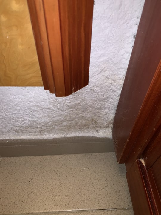 Zimmer Flipflop Cala Romantica