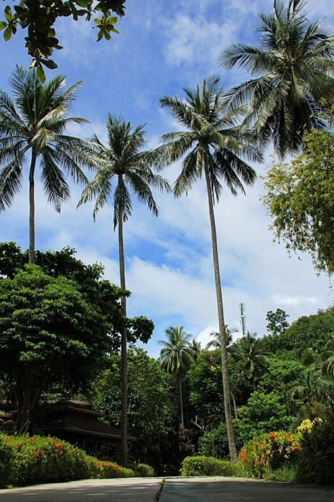 Der Weg zur Bali Section Koh Hai Fantasy Resort & Spa