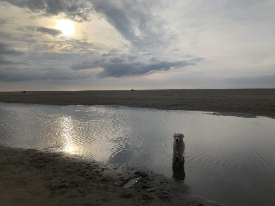 Strand Roompot Vakantiepark Kijkduin
