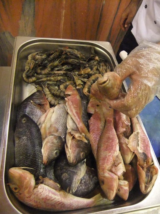 Frischer Fisch zum Auswählen - wird dann gegrillt Three Corners Happy Life Beach Resort